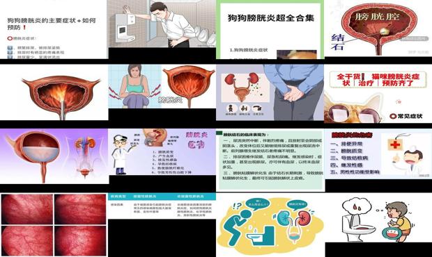 汕头膀胱发炎症状
