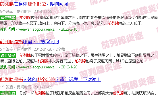 汕头前列腺是指那个部位