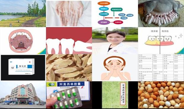 汕头生殖器官炎症用什么药